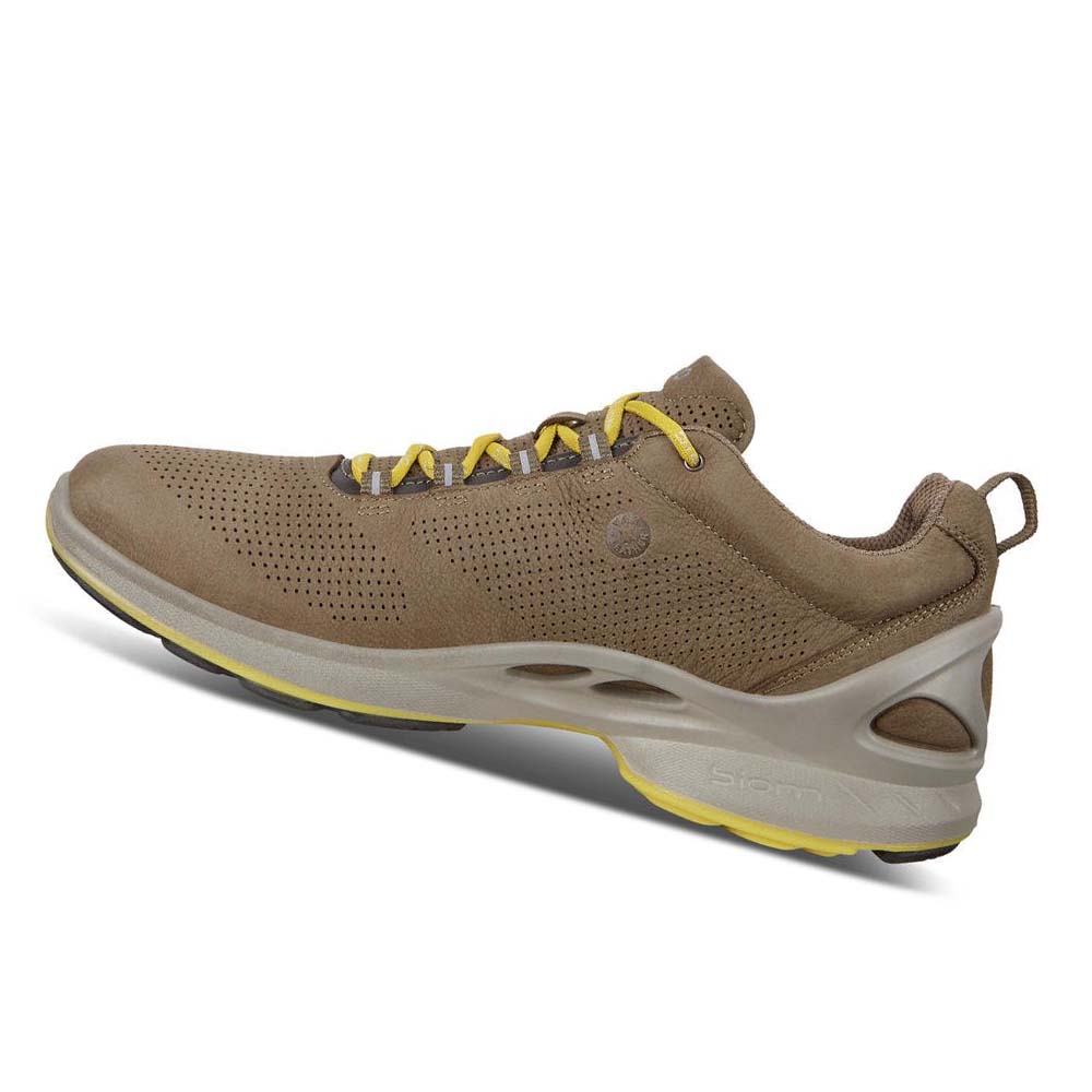 Ecco Mens Biom Fjuel Perf Hiking & Trail Herre Brune | NO 568JPQ